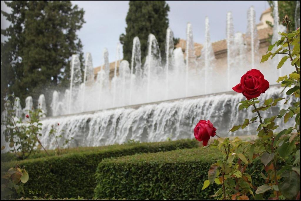 Jardines Del Triunfo Apartamentos Grenade Extérieur photo